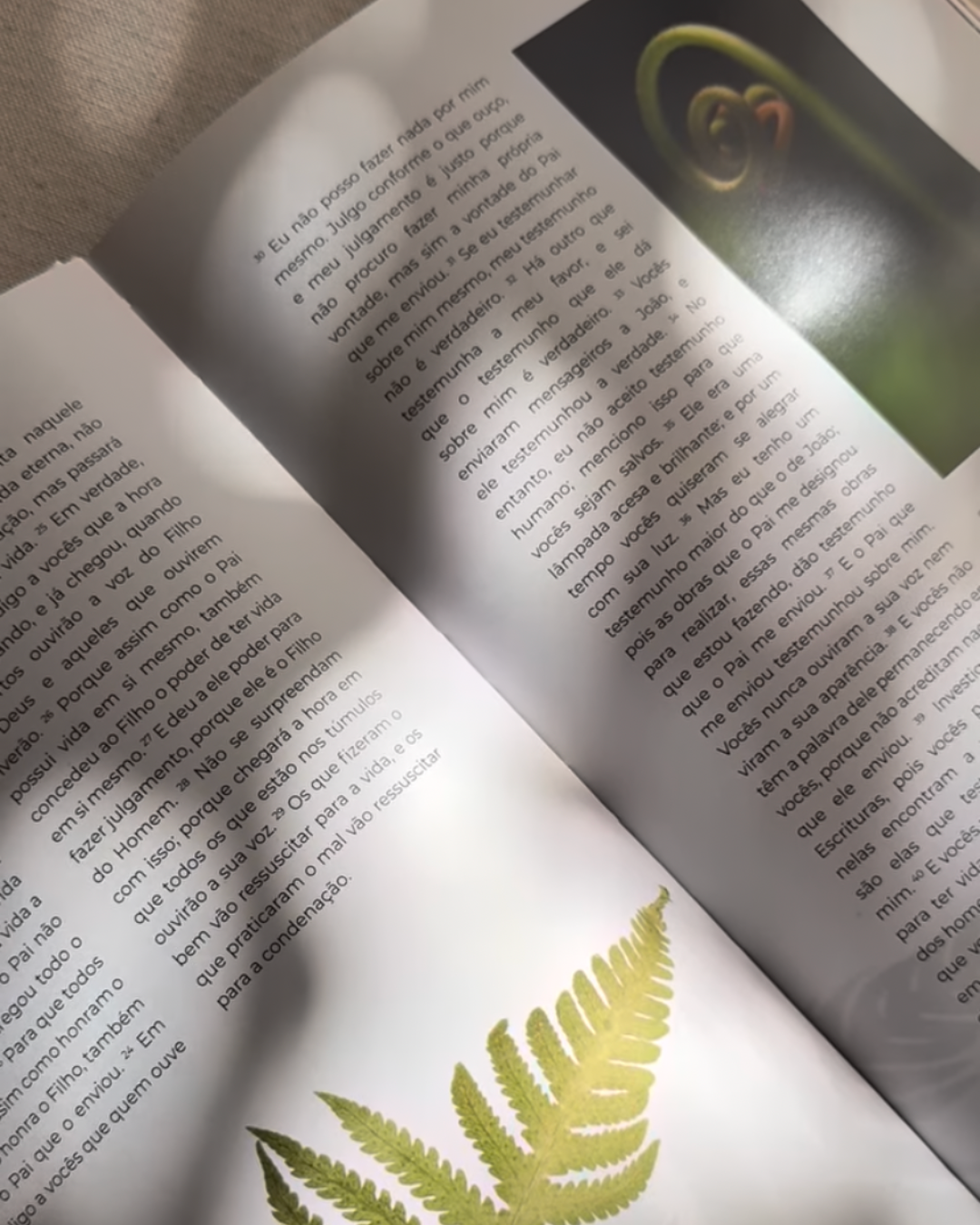 Livro de João — Evangelho Ilustrado em Capa Dura, Letra Grande