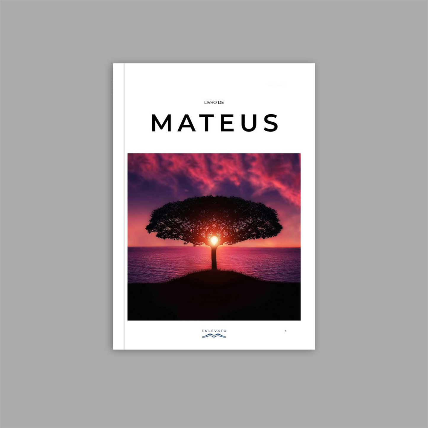 KIT: Os 4 Evangelhos