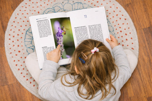 Leitura da Bíblia com Crianças