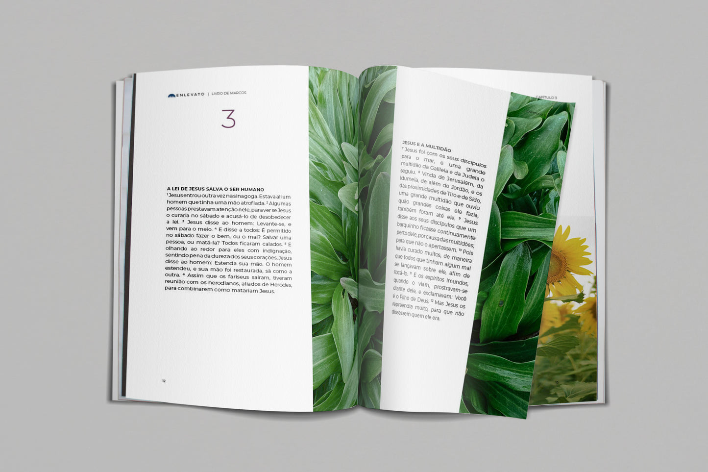 Livro de Marcos