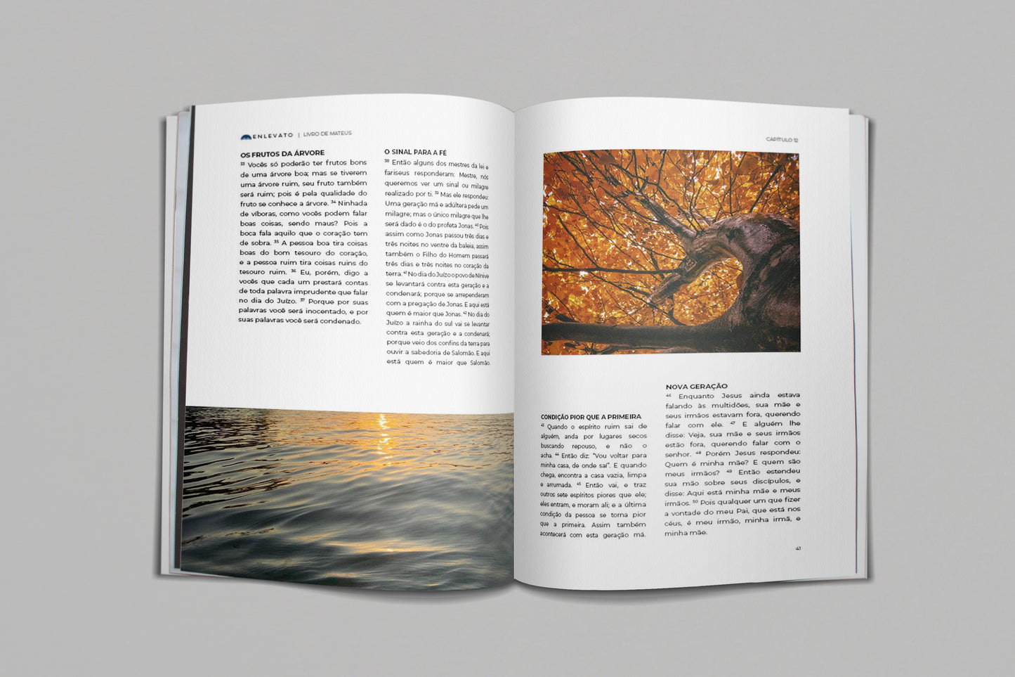 Livro de Mateus