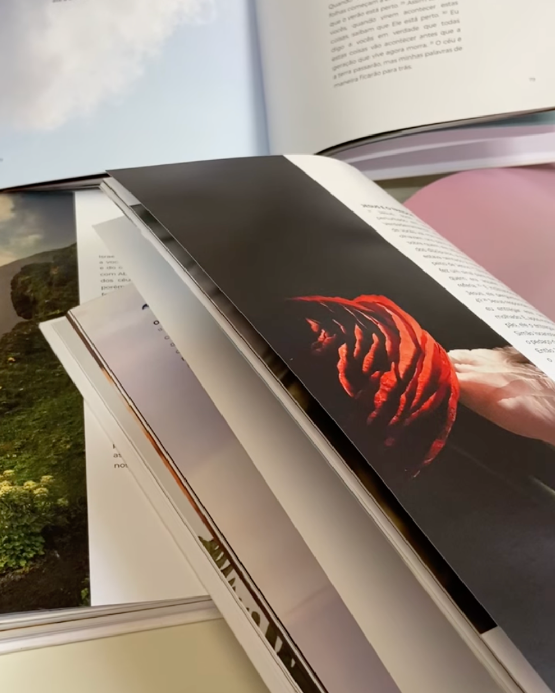 Kit Os 4 Evangelhos Ilustrados — Capa Dura, Formato Grande