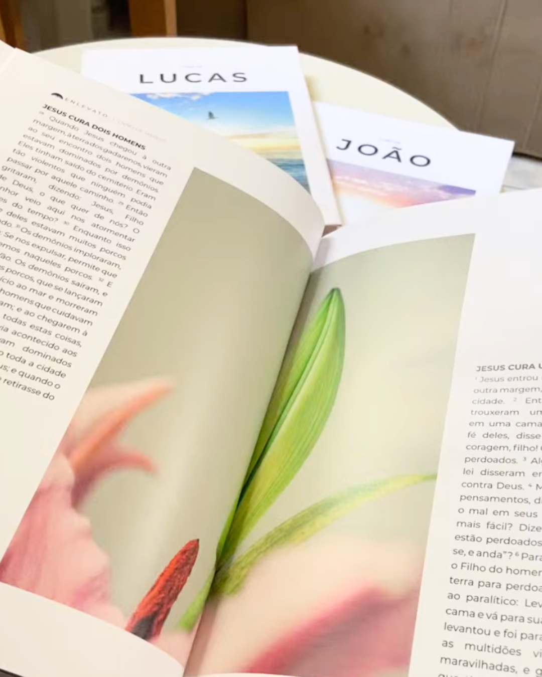 Kit Os 4 Evangelhos Ilustrados — Capa Dura, Formato Grande