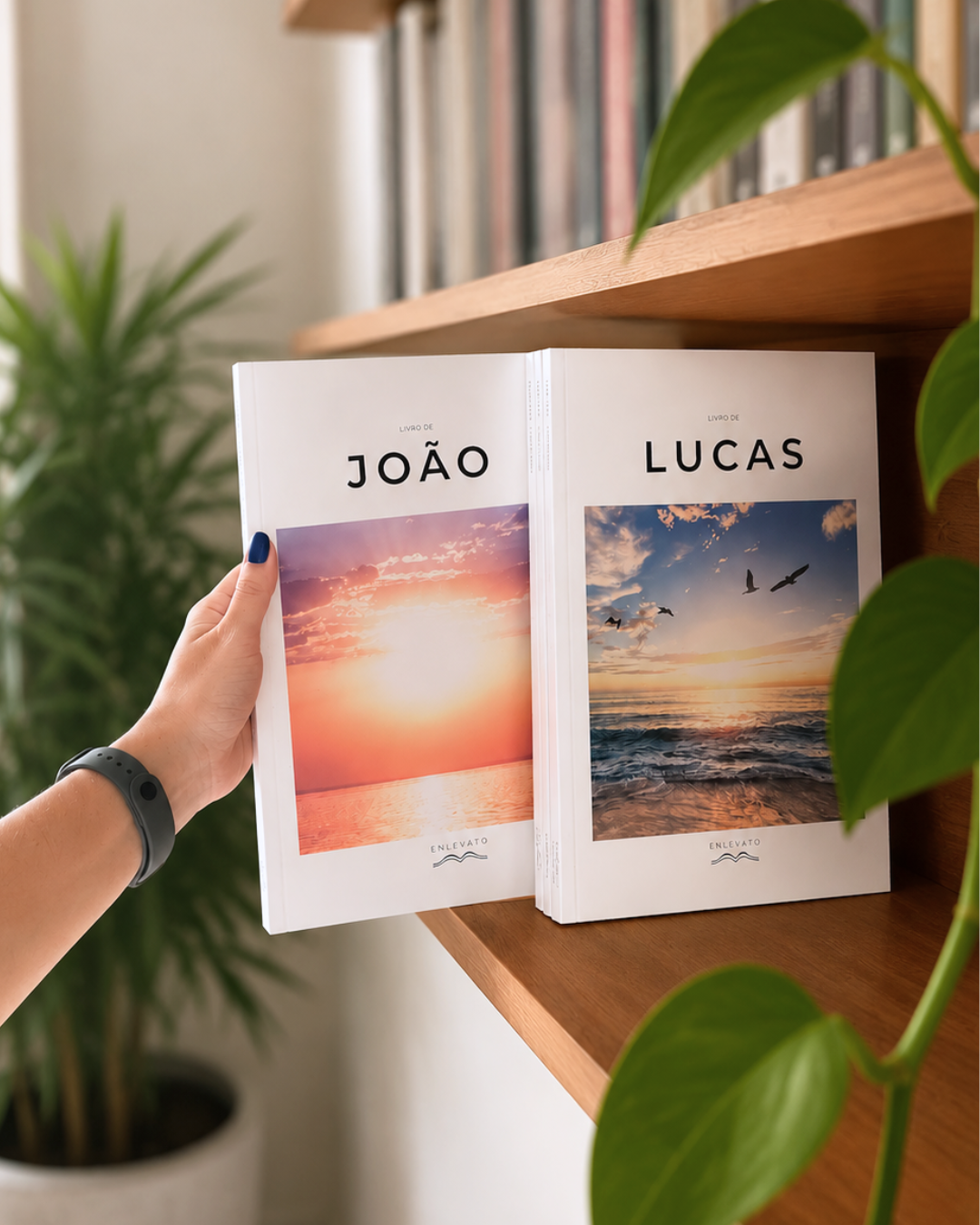 Kit Os 4 Evangelhos Ilustrados — Capa Dura, Formato Grande