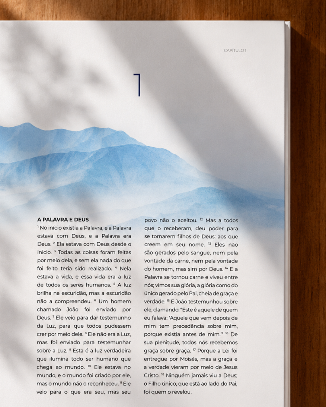Livro de João — Evangelho Ilustrado em Capa Dura, Letra Grande