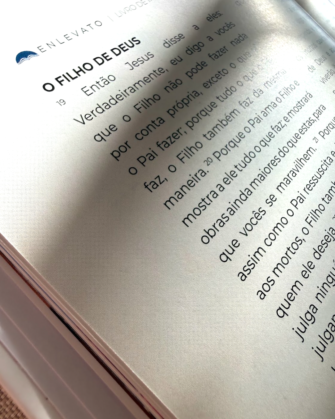 Livro de João — Evangelho Ilustrado em Capa Dura, Letra Grande