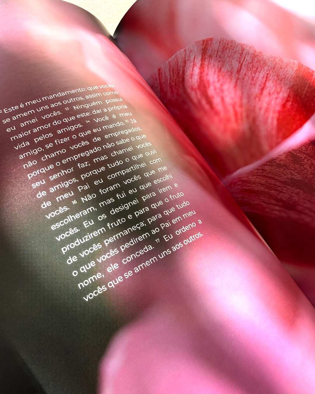 Livro de João — Evangelho Ilustrado em Capa Dura, Letra Grande