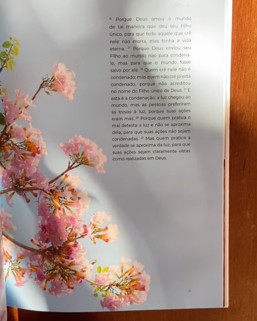 Livro de João — Evangelho Ilustrado em Capa Dura, Letra Grande