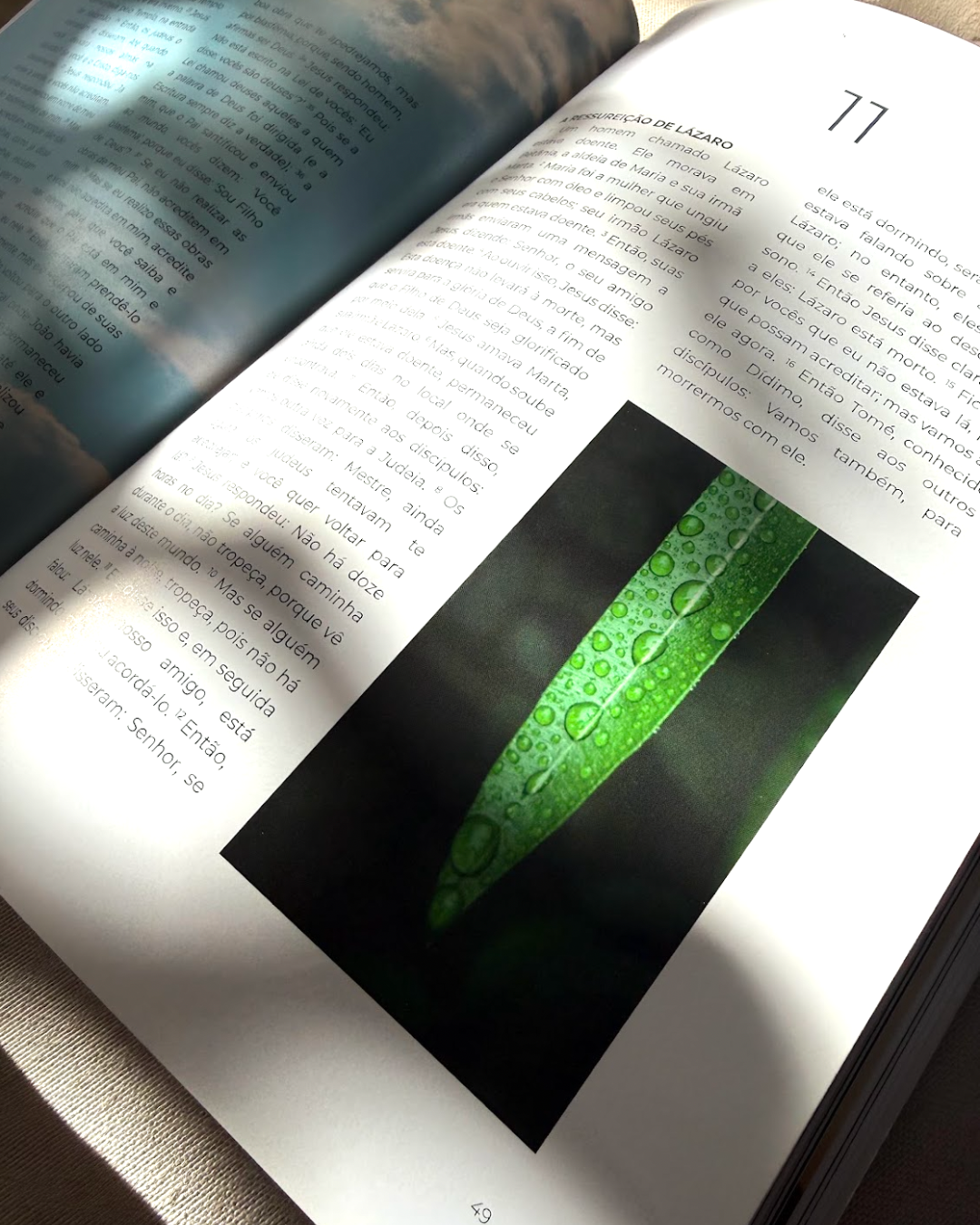 Livro de João — Evangelho Ilustrado em Capa Dura, Letra Grande