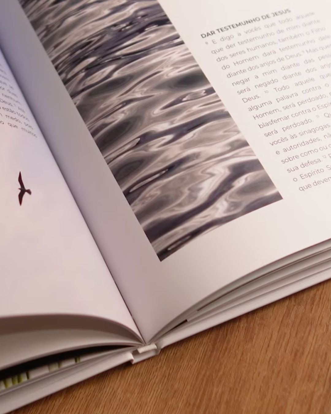 Livro de Lucas — Evangelho Ilustrado em Capa Dura, Letra Grande