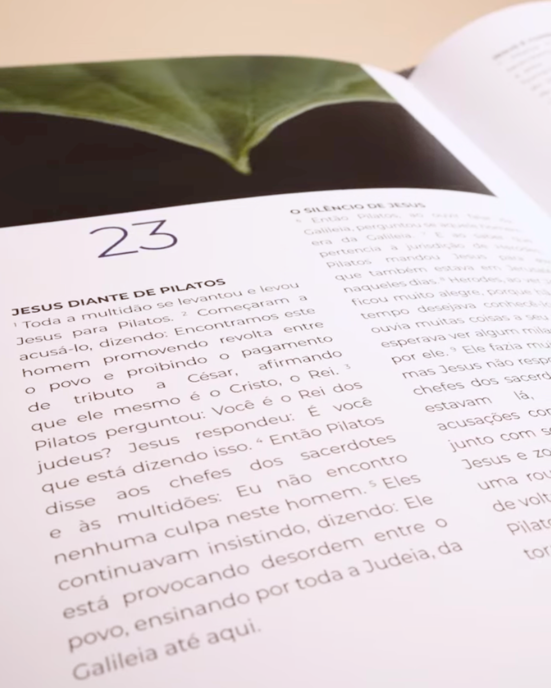 Livro de Lucas — Evangelho Ilustrado em Capa Dura, Letra Grande