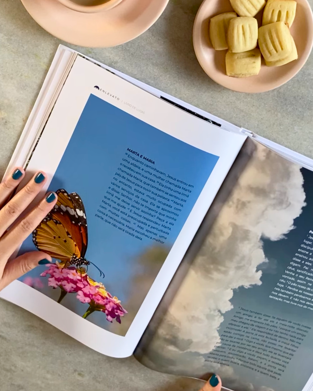 Livro de Lucas — Evangelho Ilustrado em Capa Dura, Letra Grande