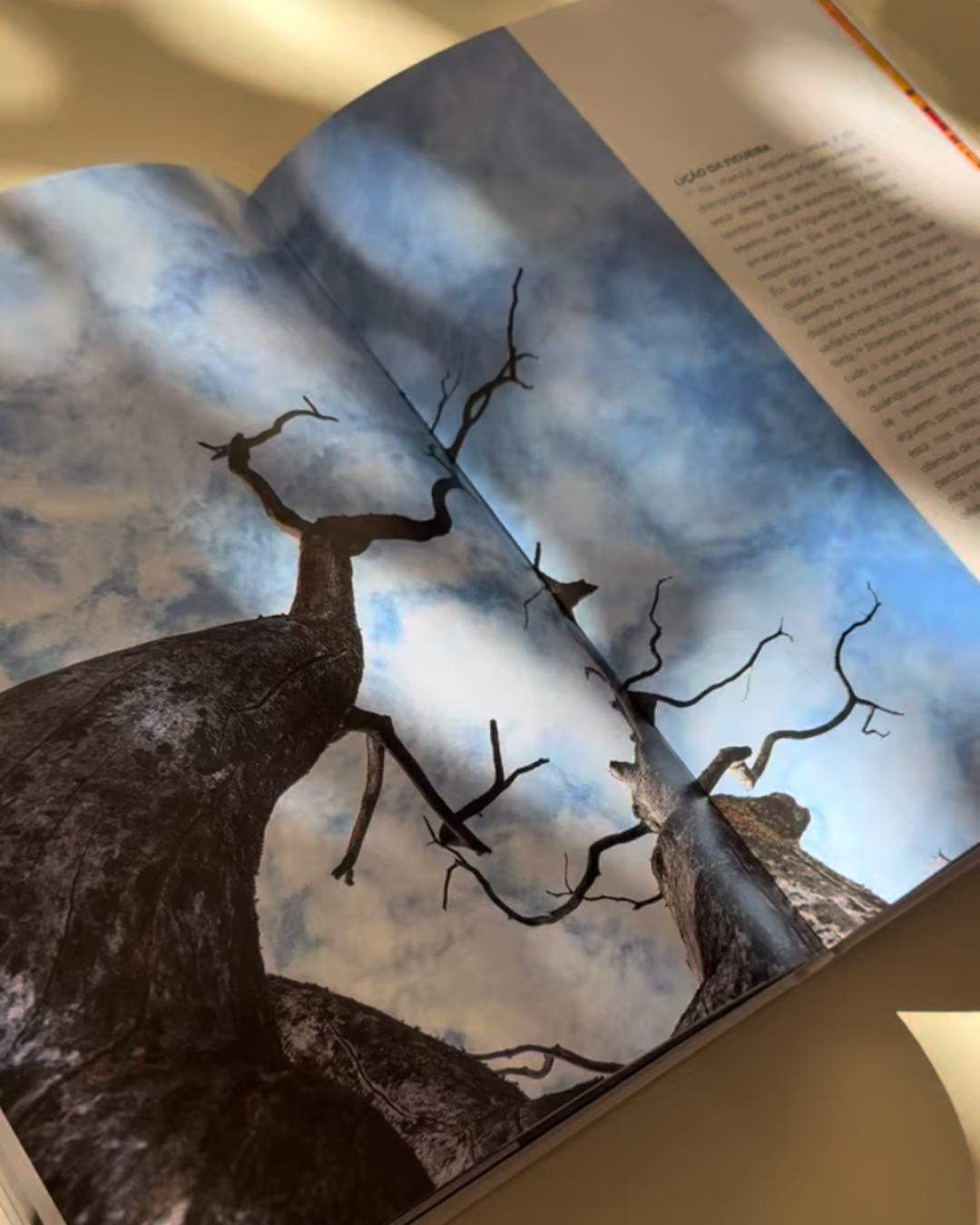 Livro de Marcos — Evangelho Ilustrado em Capa Dura, Letra Grande