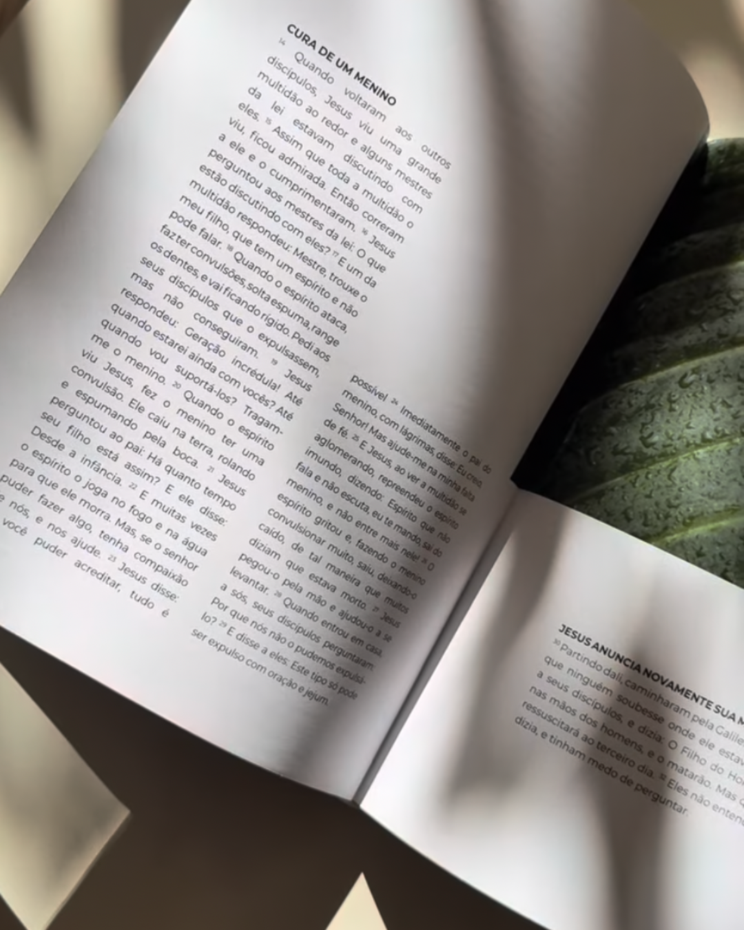 Livro de Marcos — Evangelho Ilustrado em Capa Dura, Letra Grande