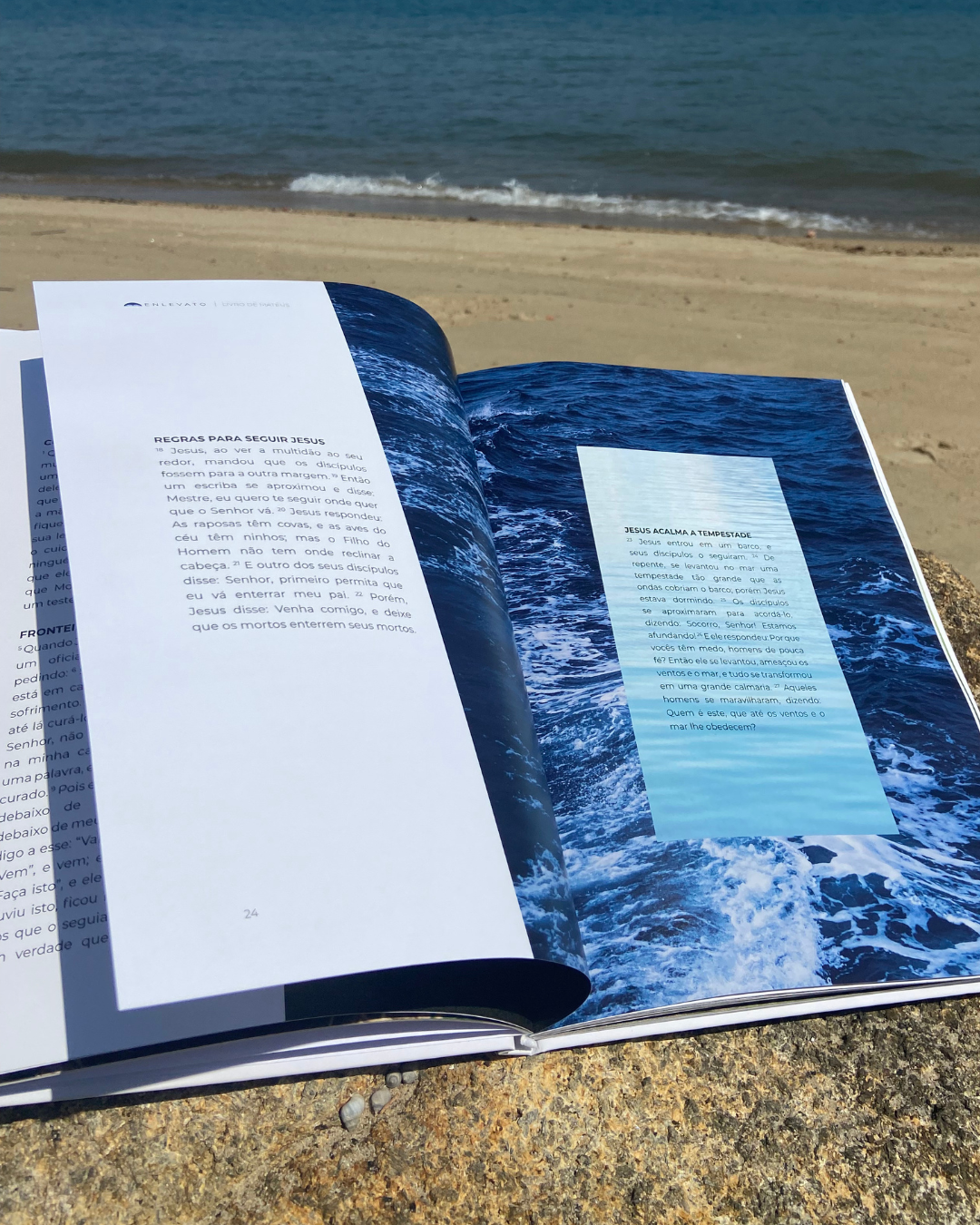 Livro de Mateus — Evangelho Ilustrado em Capa Dura, Letra Grande