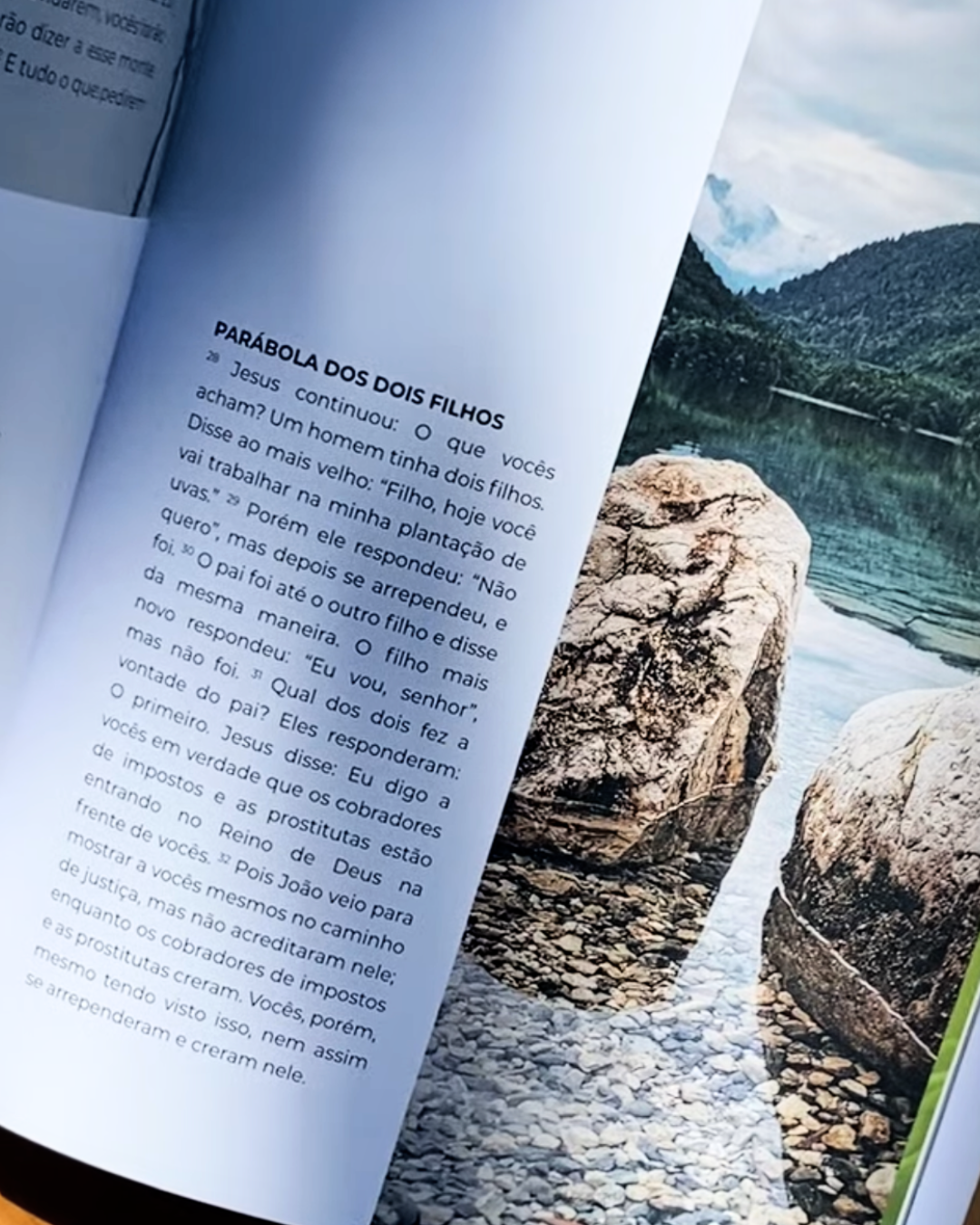 Livro de Mateus — Evangelho Ilustrado em Capa Dura, Letra Grande
