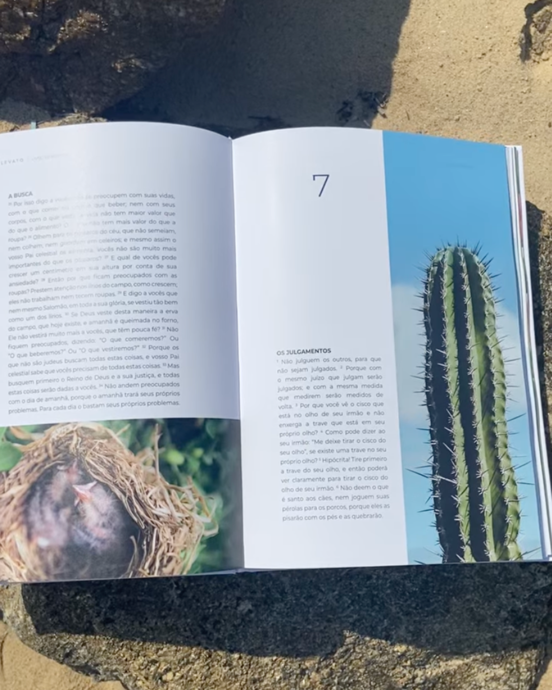 Livro de Mateus — Evangelho Ilustrado em Capa Dura, Letra Grande