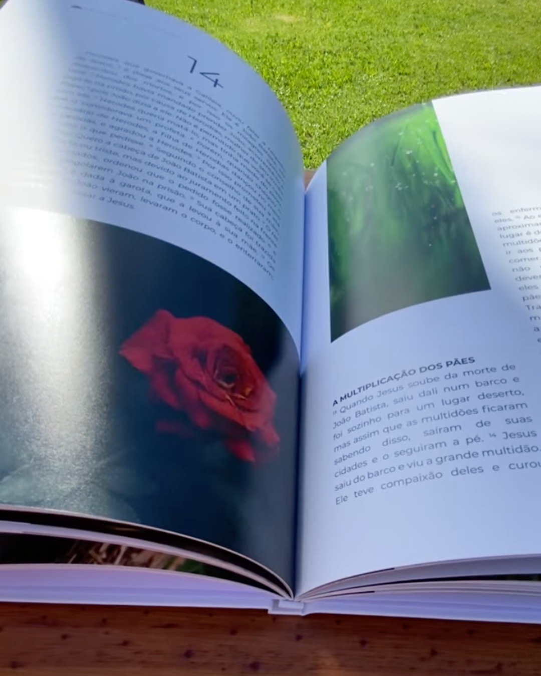Livro de Mateus — Evangelho Ilustrado em Capa Dura, Letra Grande