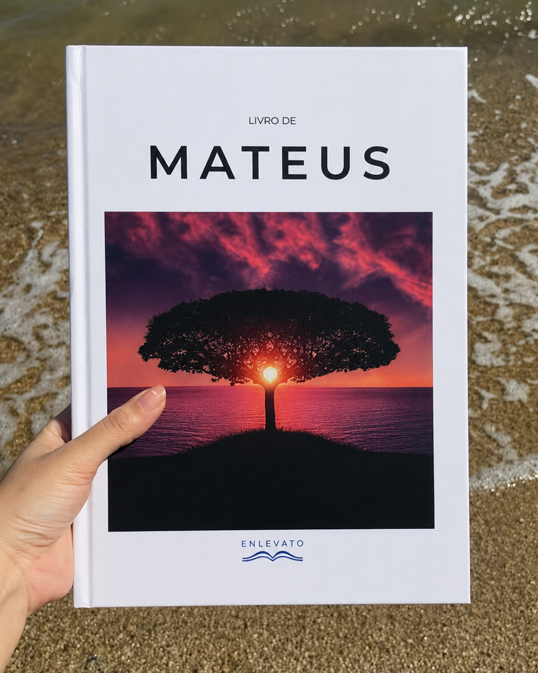 Livro de Mateus — Evangelho Ilustrado em Capa Dura, Letra Grande